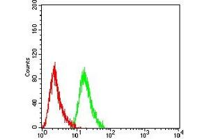 Flow cytometric analysis of THP-1 cells using CD118 mouse mAb (green) and negative control (red). (LIFR 抗体  (AA 45-188))