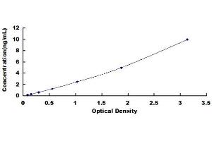 Typical standard curve (ERMN ELISA 试剂盒)