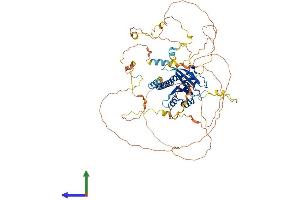 Protein Structure (PS) image for Chromosome 9 Open Reading Frame 86 (C9orf86) (AA 1-725) protein (His tag) (ABIN7557555)