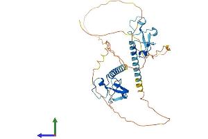Protein Structure (PS) image for Muscleblind-Like 2 (MBNL2) (AA 1-373) protein (His tag) (ABIN7559102)