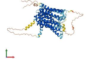 Protein Structure (PS) image for Solute Carrier Family 40 (Iron-Regulated Transporter), Member 1 (SLC40A1) (AA 1-570) protein (His tag) (ABIN7561507)