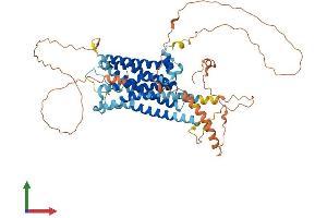 AlphaFold protein structure predicition of Mouse Recombinant Adra1d Protein, UniprotID P97714