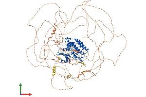 Protein Structure (PS) image for tau Tubulin Kinase 2 (TTBK2) (AA 1-1243) protein (His tag) (ABIN7563758)