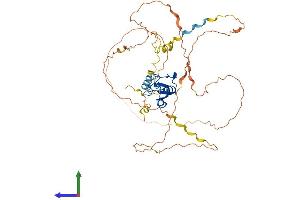 Protein Structure (PS) image for Ring Finger Protein 44 (RNF44) (AA 1-432) protein (His tag) (ABIN7551475)