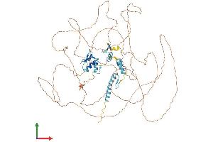 Protein Structure (PS) image for Zinc Finger Protein 828 (ZNF828) (AA 1-812) protein (His tag) (ABIN7553429)