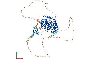 AlphaFold protein structure predicition of Human Recombinant CDYL Protein, UniprotID Q9Y232