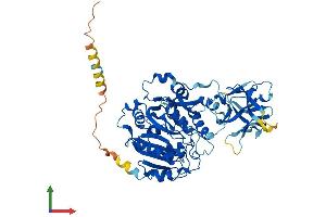 Protein Structure (PS) image for UDP-N-Acetyl-alpha-D-Galactosamine:polypeptide N-Acetylgalactosaminyltransferase 14 (GalNAc-T14) (GALNT14) (AA 1-552) protein (His tag) (ABIN7554010)