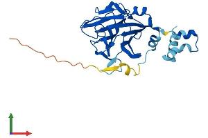 Protein Structure (PS) image for SplA/ryanodine Receptor Domain and SOCS Box Containing 4 (SPSB4) (AA 1-273) protein (His tag) (ABIN7559779)