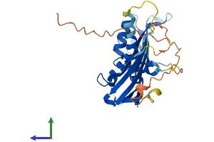 AlphaFold protein structure predicition of Mouse Recombinant Rdm1 Protein, UniprotID Q9CQK3