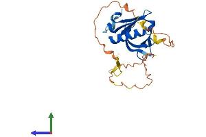 Protein Structure (PS) image for Pleckstrin Homology Domain Containing, Family B (Evectins) Member 2 (PLEKHB2) (AA 1-222) protein (His tag) (ABIN7550760)