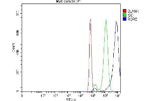 Flow Cytometry analysis of Neuro-2a cells using anti-ROR Beta/RORB antibody (ABIN7599423).