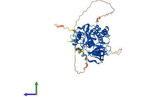 Protein Structure (PS) image for Vaccinia Related Kinase 3 (VRK3) (AA 1-474) protein (His tag) (ABIN7545147)