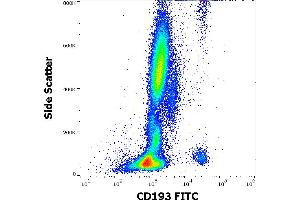 Flow cytometry surface staining pattern of human peripheral whole blood stained using anti-human CD193 (5E8) FITC antibody (4 μL reagent / 100 μL of peripheral whole blood). (CCR3 抗体  (FITC))