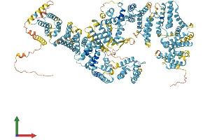 Protein Structure (PS) image for Fanconi Anemia Group A Protein (FANCA) (AA 1-1439) protein (His tag) (ABIN7565113)