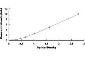 Typical standard curve (MTDH ELISA 试剂盒)