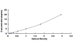 Typical Standard Curve (PFKM ELISA 试剂盒)