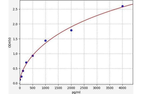 DKK1 ELISA 试剂盒