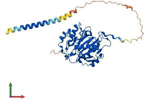 AlphaFold protein structure predicition of Mouse Recombinant B4galt2 Protein, UniprotID Q9Z2Y2