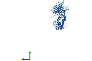 Protein Structure (PS) image for Tripartite Motif Containing 35 (TRIM35) (AA 1-501) protein (His tag) (ABIN7559060)