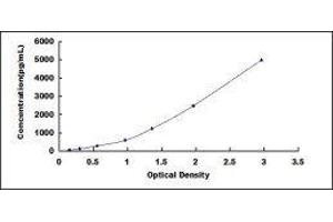 Typical standard curve (Periostin ELISA 试剂盒)