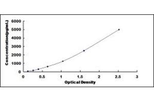 Typical standard curve (MMP15 ELISA 试剂盒)