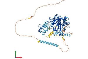 Protein Structure (PS) image for Prolyl 4-Hydroxylase, Transmembrane (Endoplasmic Reticulum) (P4HTM) (AA 1-503) protein (His tag) (ABIN7558529)