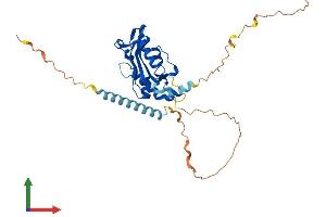 AlphaFold protein structure predicition of Human Recombinant AEN Protein, UniprotID Q8WTP8