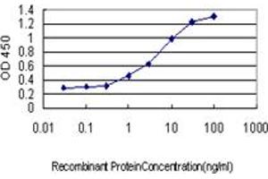 Detection limit for recombinant GST tagged BAG1 is approximately 0. (BAG1 抗体  (AA 241-345))