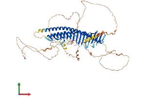 Protein Structure (PS) image for Junctophilin 4 (JPH4) (AA 1-628) protein (His tag) (ABIN7558398)