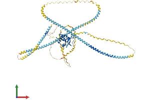 Protein Structure (PS) image for Collectin Sub-Family Member 12 (COLEC12) (AA 1-742) protein (His tag) (ABIN7564679)
