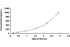 Typical standard curve (L1CAM ELISA 试剂盒)