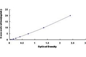 Typical standard curve (TMOD3 ELISA 试剂盒)
