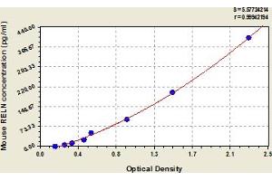 Typical Standard Curve (Reelin ELISA 试剂盒)