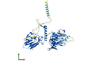 Protein Structure (PS) image for beta-1,4-N-Acetyl-Galactosaminyl Transferase 1 (B4GALNT1) (AA 1-533) protein (His tag) (ABIN7552548)