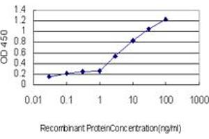 Detection limit for recombinant GST tagged MAZ is approximately 0. (MAZ 抗体  (AA 332-440))