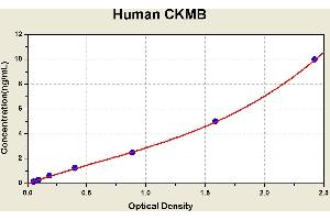 Creatine Kinase MB (CKM) ELISA Kit