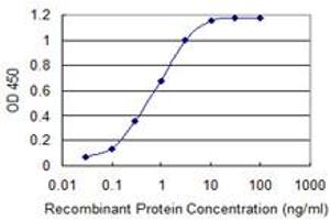 Detection limit for recombinant GST tagged EPS8L2 is 0. (EPS8-Like 2 抗体  (AA 615-714))