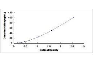 Protein Kinase C, delta (PKCd) ELISA Kit