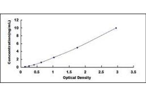 Typical standard curve (ELOVL1 ELISA 试剂盒)