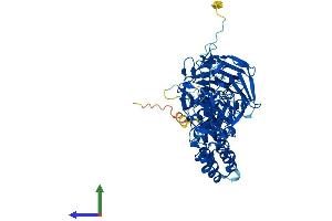 Protein Structure (PS) image for Kelch-Like 36 (KLHL36) (AA 1-616) protein (His tag) (ABIN7548825)