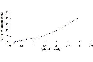 Typical standard curve (DDT ELISA 试剂盒)