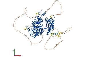 Protein Structure (PS) image for Polymerase (DNA Directed), eta (POLH) (AA 1-713) protein (His tag) (ABIN7555014)