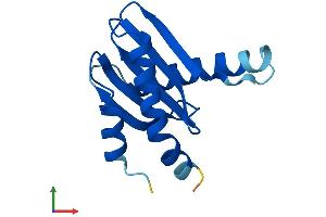 Protein Structure (PS) image for Late Endosomal/lysosomal Adaptor, MAPK and mTOR Activator 2 (LAMTOR2) (AA 1-125) protein (His tag) (ABIN7561517)