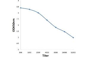 Antigen: 0. (MAS1L 抗体  (AA 201-300))