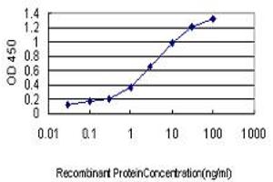 Detection limit for recombinant GST tagged PUM2 is approximately 0. (PUM2 抗体  (AA 701-798))