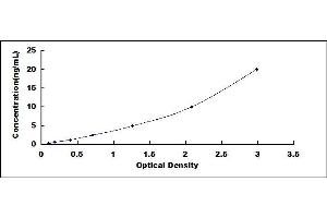 Typical standard curve (SDHA ELISA 试剂盒)