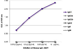 ELISA image for Mouse IgG1 isotype control (Biotin) (ABIN375889)