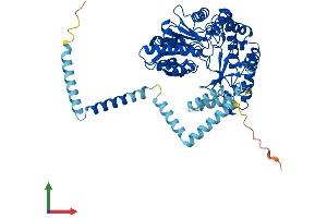 AlphaFold protein structure predicition of Mouse Recombinant Sgpl1 Protein, UniprotID Q8R0X7