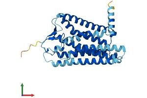 Protein Structure (PS) image for Olfactory Receptor, Family 4, Subfamily D, Member 1 (OR4D1) (AA 1-310) protein (His tag) (ABIN7550085)