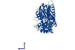 Protein Structure (PS) image for Cell Division Cycle 45 Homolog (S. Cerevisiae) (CDC45) (AA 1-566) protein (His tag) (ABIN7553333)